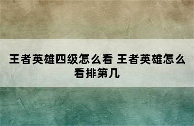 王者英雄四级怎么看 王者英雄怎么看排第几